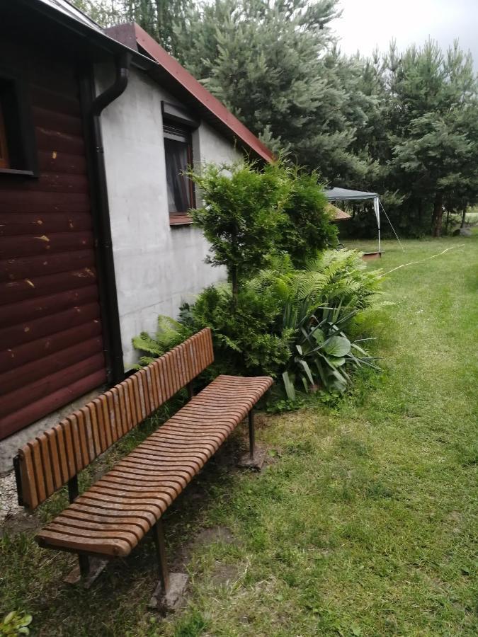Noclegi Przy Kominku Miedzyles  Exteriör bild