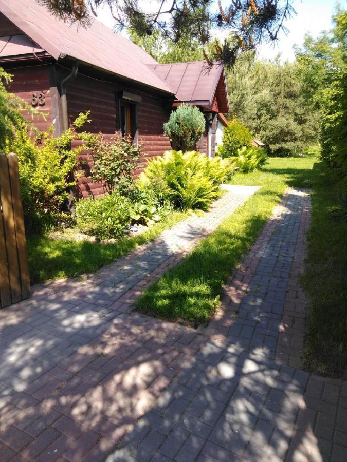 Noclegi Przy Kominku Miedzyles  Exteriör bild
