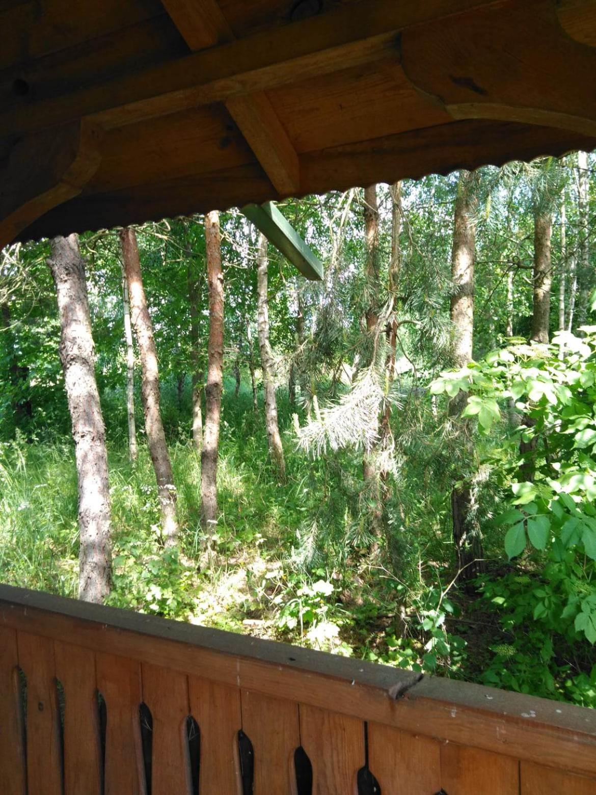 Noclegi Przy Kominku Miedzyles  Rum bild