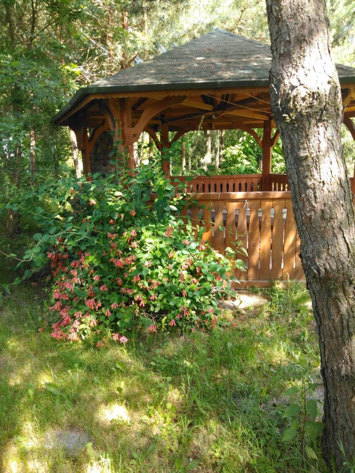 Noclegi Przy Kominku Miedzyles  Rum bild